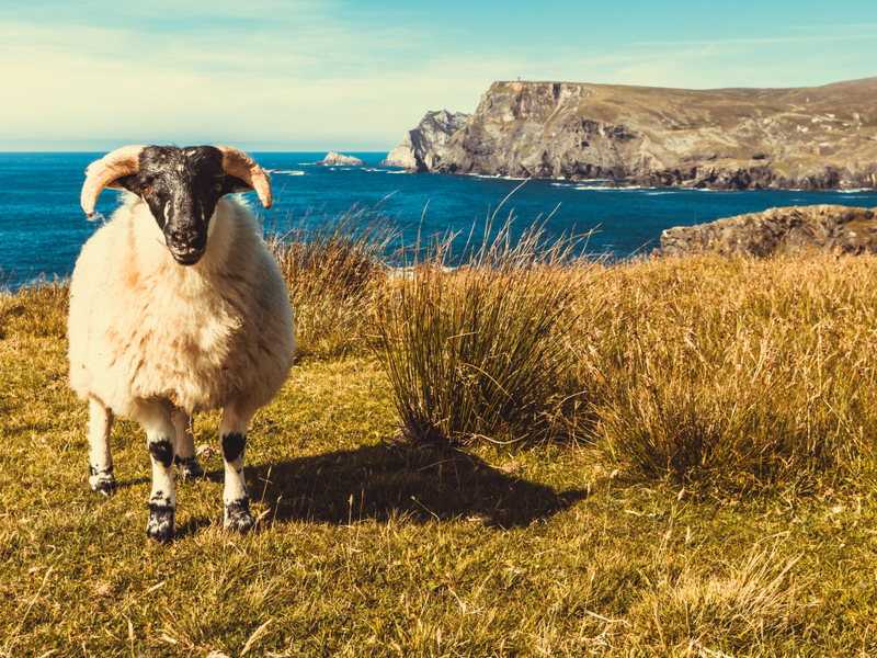 Irlanda, la Isla Esmeralda