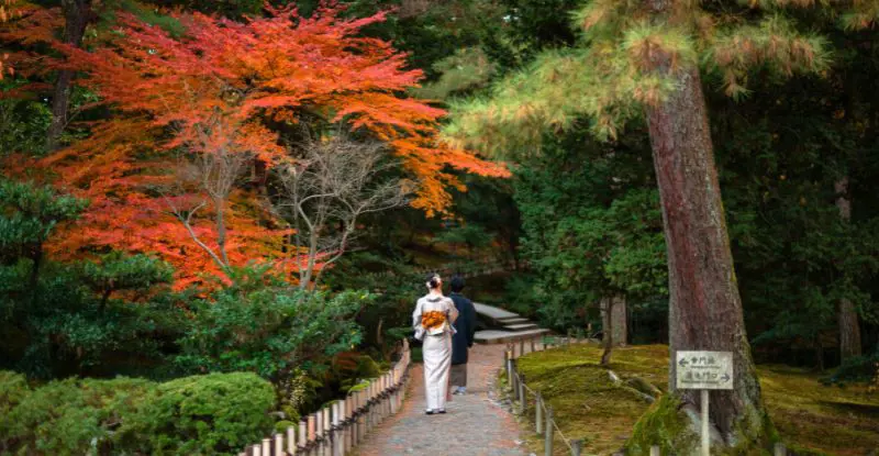 Japón Ikiru - Hop-On (inicio Tokio)