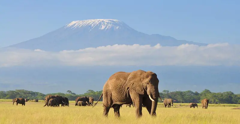 Kenia, travesía en el tren de la luna