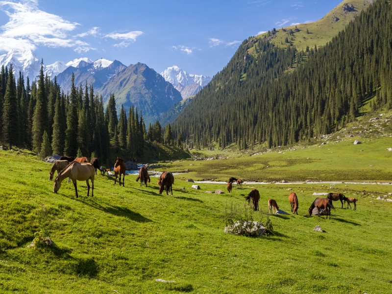 Kirguistán, el mundo entre montañas
