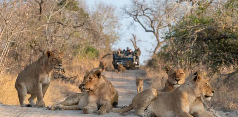 Reservas Privadas Sudáfrica - Opción 1