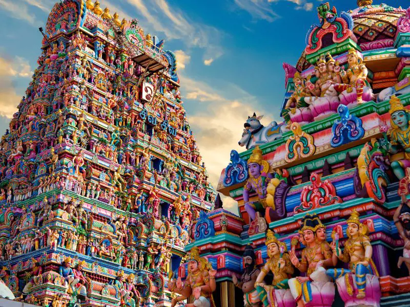Sur de India: Kerala y Tamil Nadu