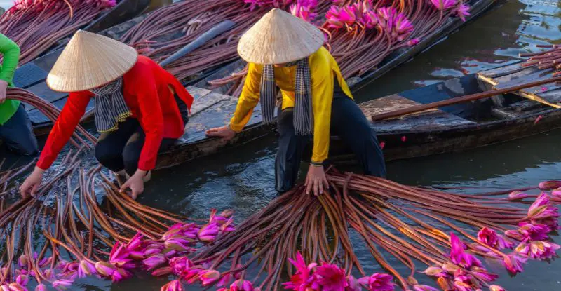 Súper Vietnam - Salidas Garantizadas