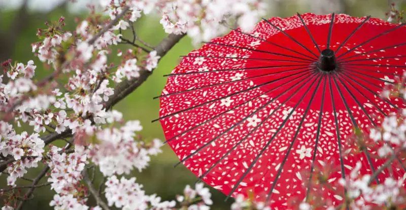 Gran Tour de Japón