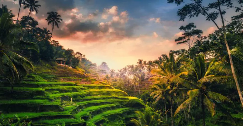 Bali, Isla de los Dioses