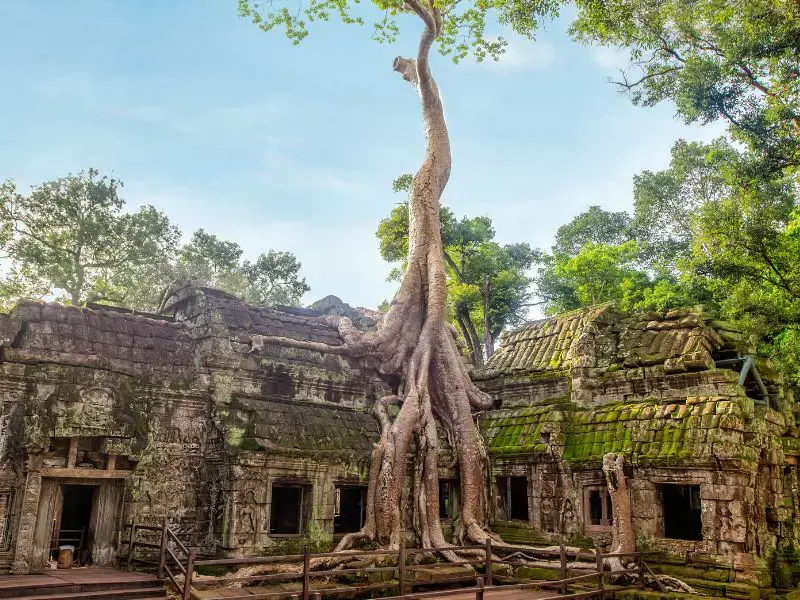 Camboya Auténtica