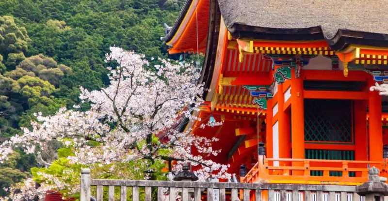 Lo Mejor de Japón y Corea