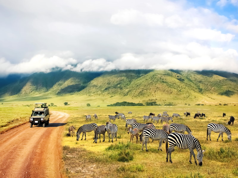 Safari Ngorongoro Ruta 1 - Salida lunes - Opción 2 - Extensión Maldivas