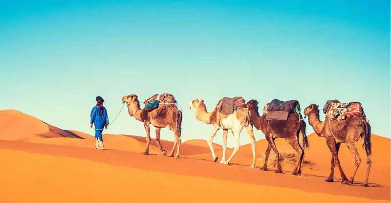 Lo mejor de Marruecos y Túnez