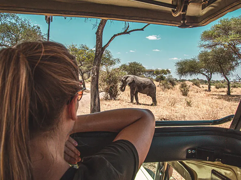 Paisajes de Tanzania - Categoría B