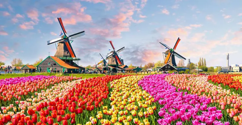 Lo mejor de los Países Bajos