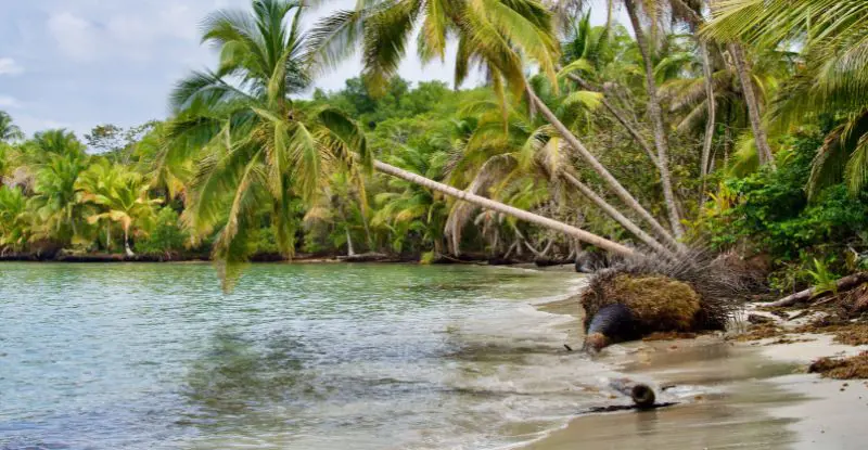 Panamá Espectacular