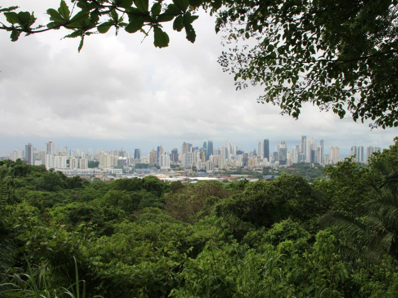 Panamá en Libertad - Fly & Drive