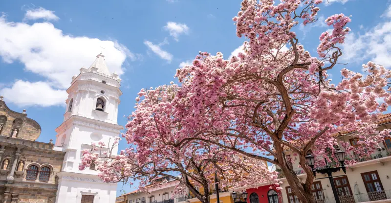 Panamá a tu alcance