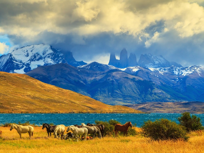 Patagonia Chilena con Torres del Paine