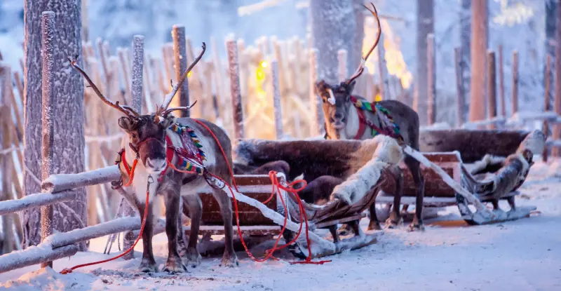 Laponia - Pre-Puente de Diciembre en Ylläs