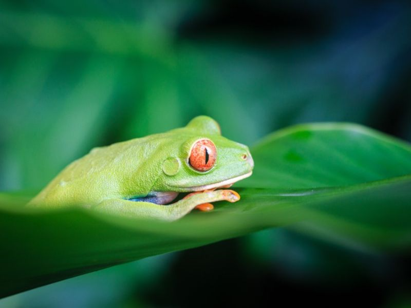 Paisajes de Costa Rica