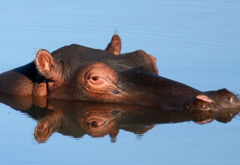 Escapada a Sudáfrica 