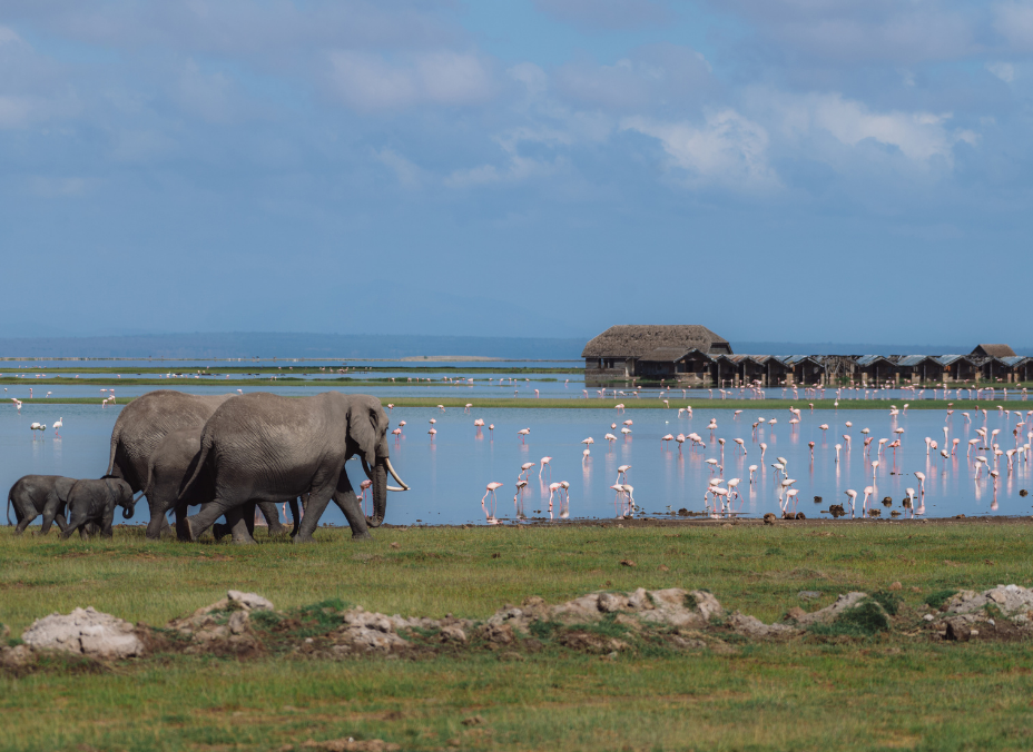 nilianza safari kutafuta amani