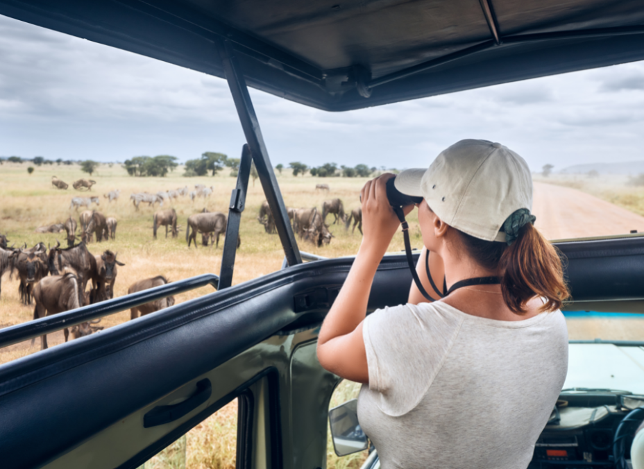 Safari Ngorongoro Ruta 1 salida lunes - Extensión Zanzíbar