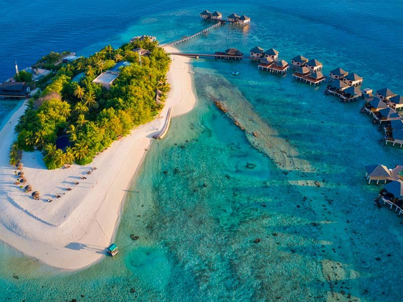 Safari Shimba - Extensión Maldivas