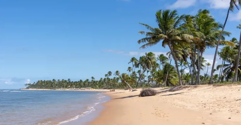 Salvador de Bahía y Praia do Forte