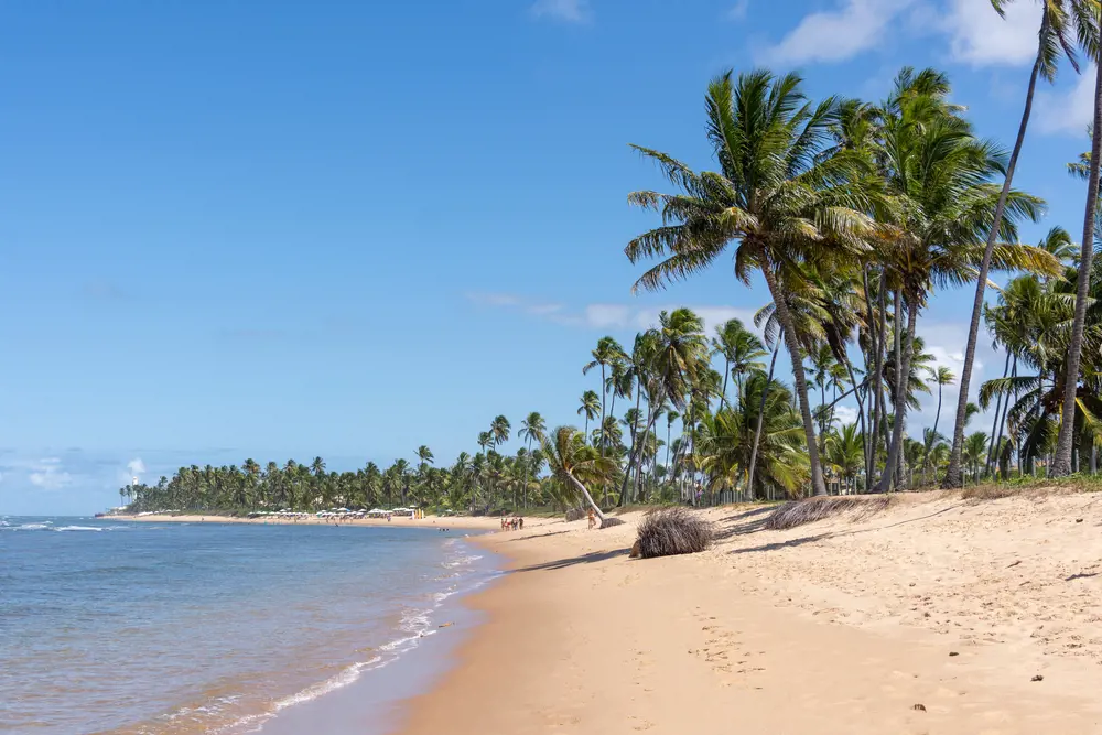 Salvador de Bahía y Praia do Forte