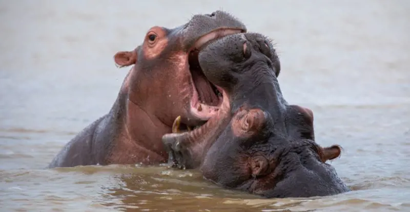 Sudáfrica Fascinante