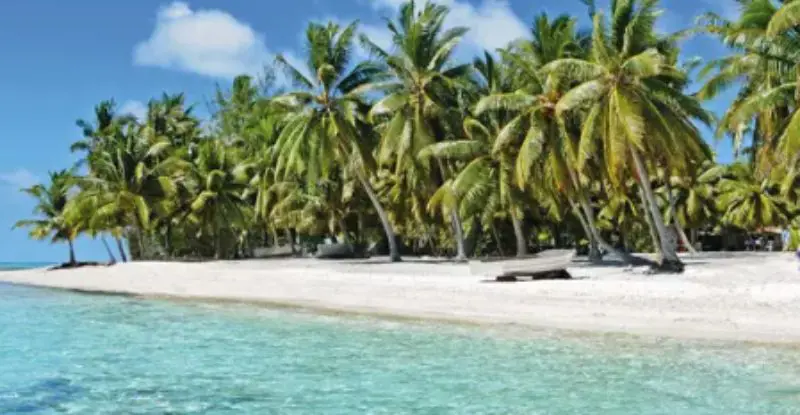 Expedición Seychelles: Naturaleza Exótica y Clima Perfecto