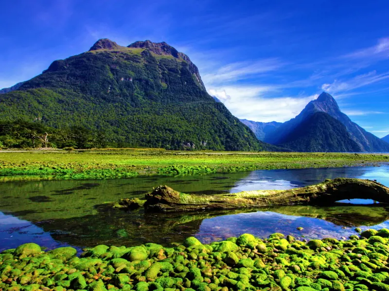 Nueva Zelanda Aotearoa