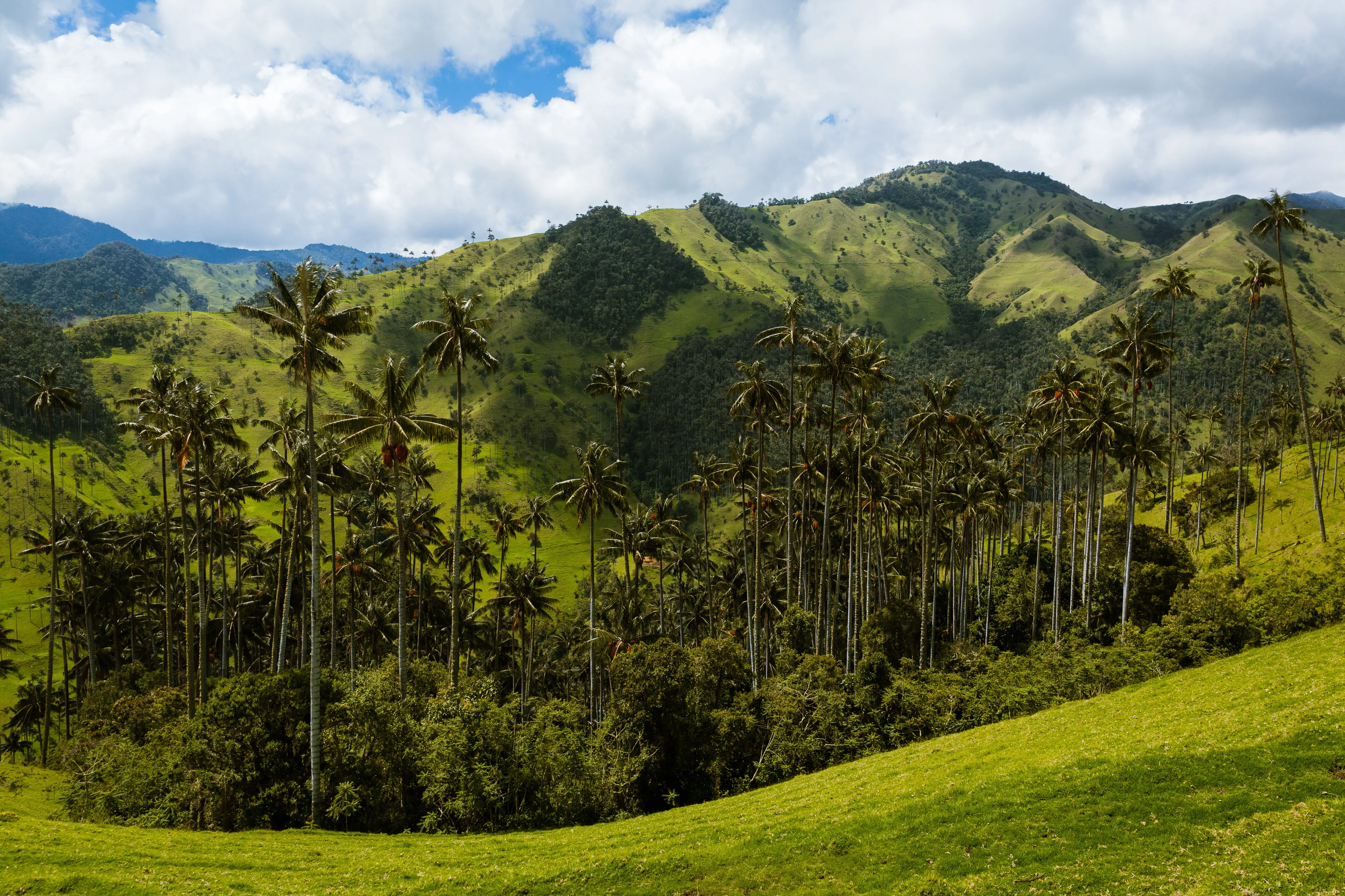 Gran Tour de Colombia