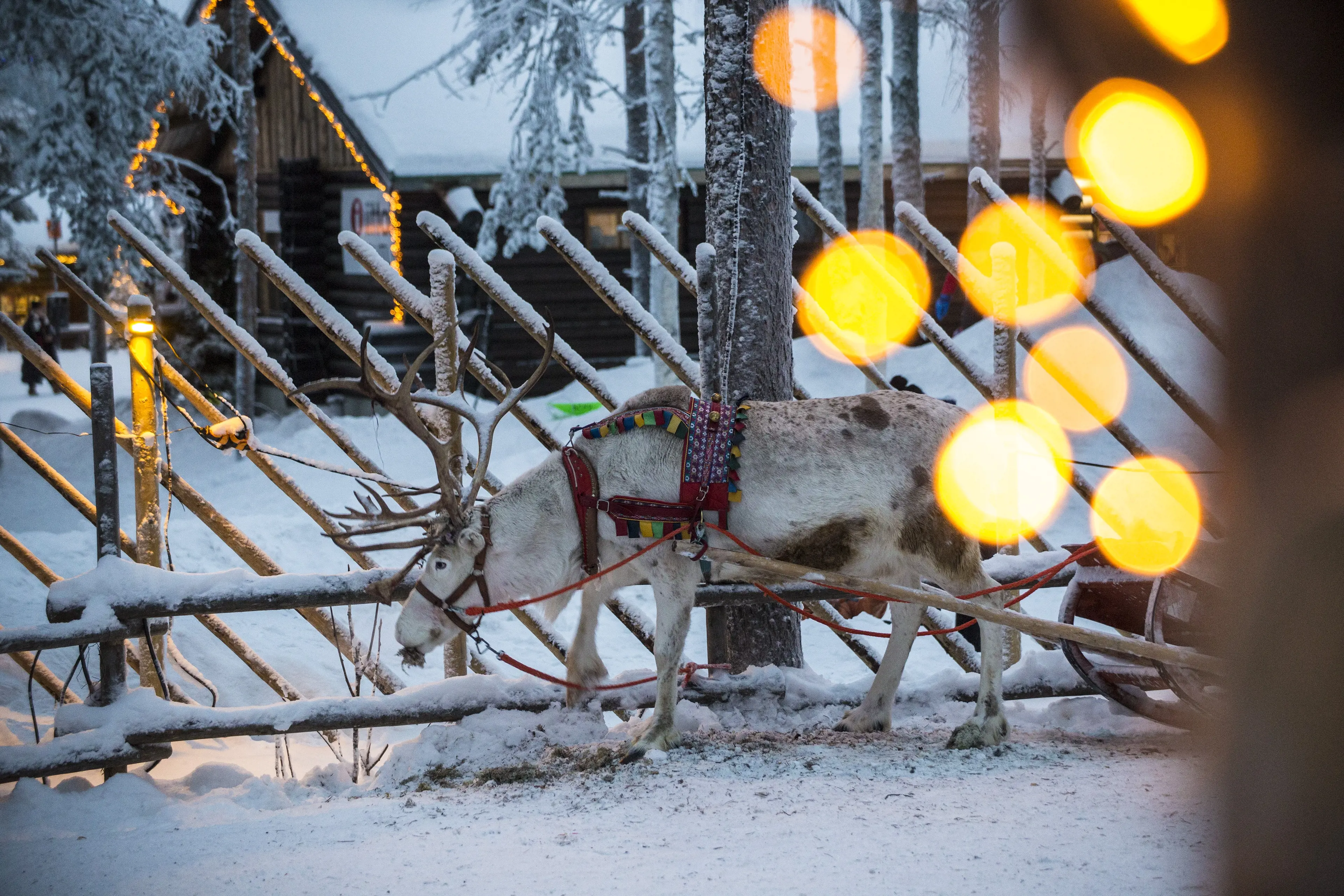Rovaniemi y la aldea de Papá Noel