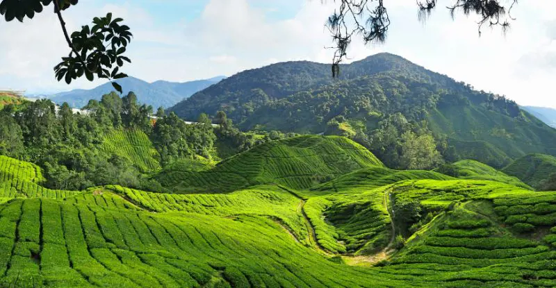 Gran Tour del Sudeste Asiático