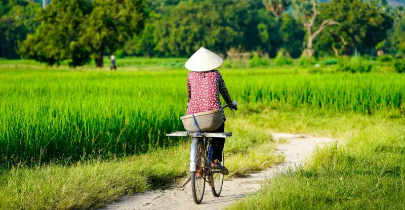 Súper Vietnam