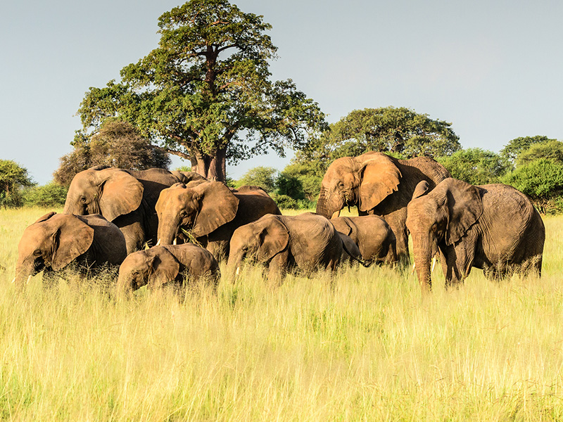 Paisajes de Tanzania