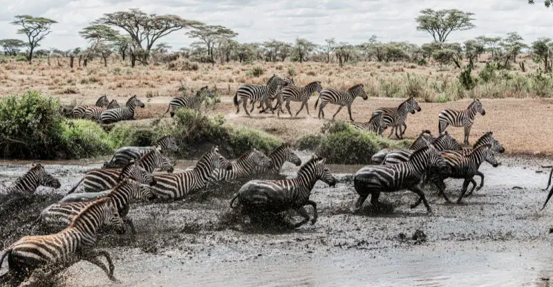 Tras la Gran Migración