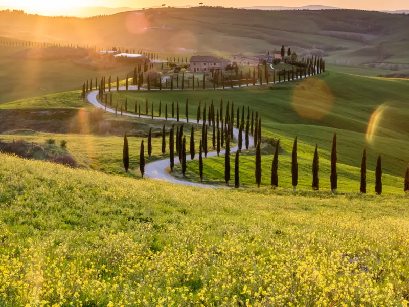 Luna de Miel en Toscana y Maldivas