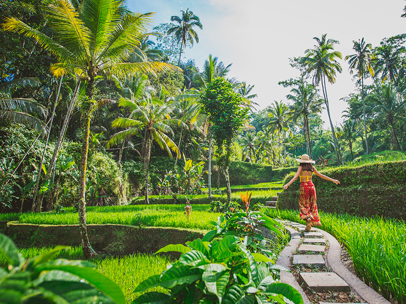 Ubud y playas de Bali