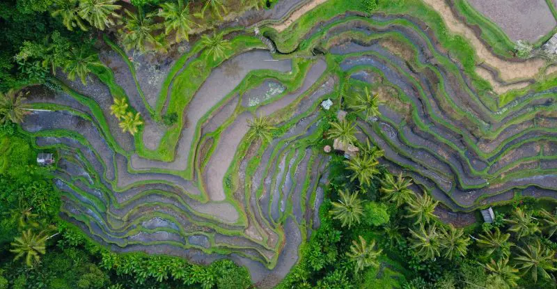 Bali, isla de los dioses y Ubud - salida lunes - Salidas Garantizadas