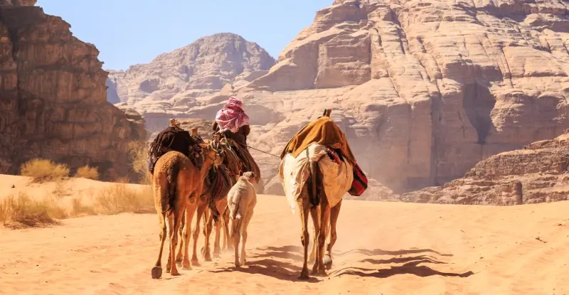 Aventuras de Wadi Rum